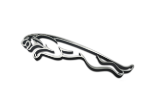 Jaguar logo 1 300x225 1